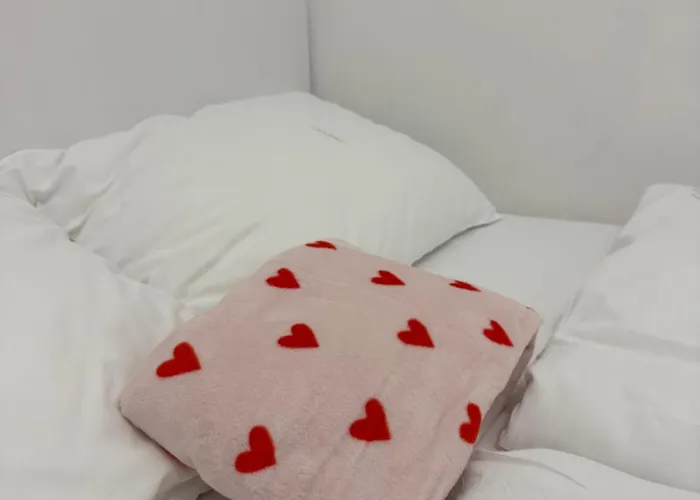 Swanky Residence, 4 Stars, Centre